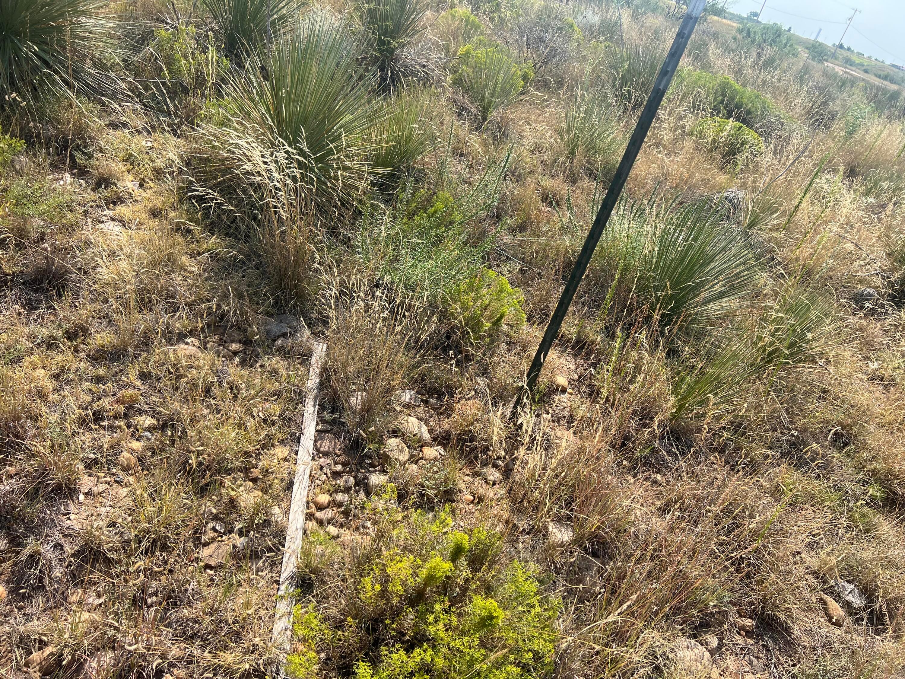 9831 Amarillo Road Fritch, TX 79036 - Photo 13 of 17 a view of a yard of a house