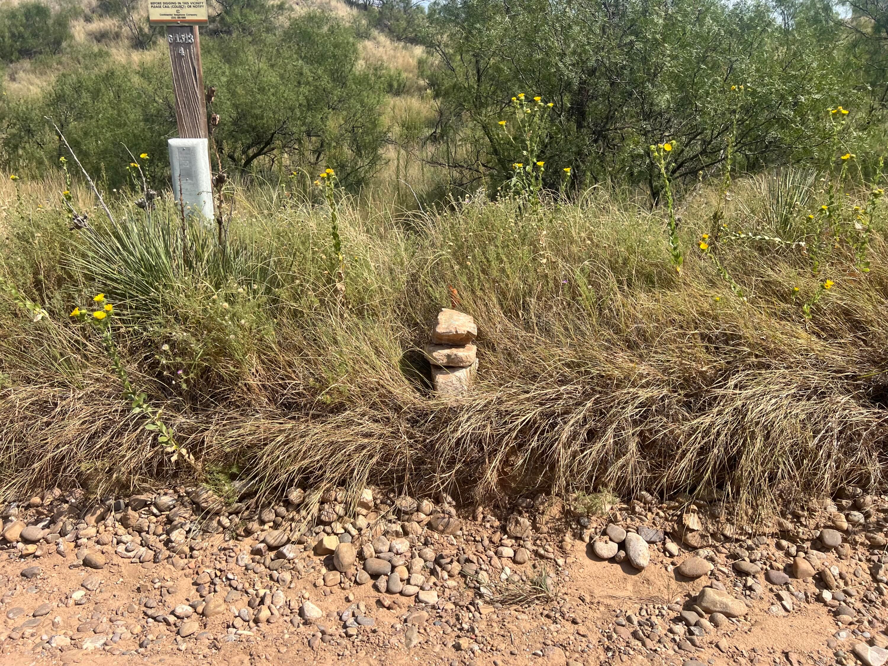 9831 Amarillo Road Fritch, TX 79036 - Photo 16 of 17 a view of a bench in a garden