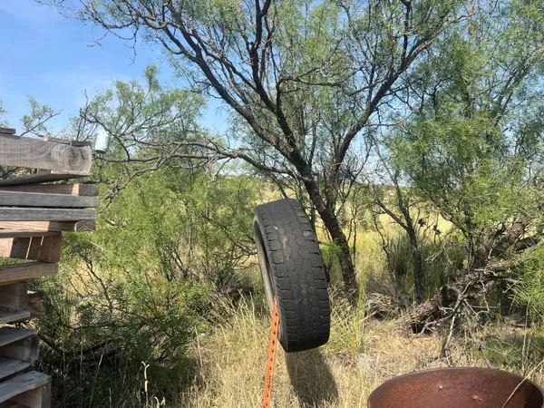 a view of a backyard of the house