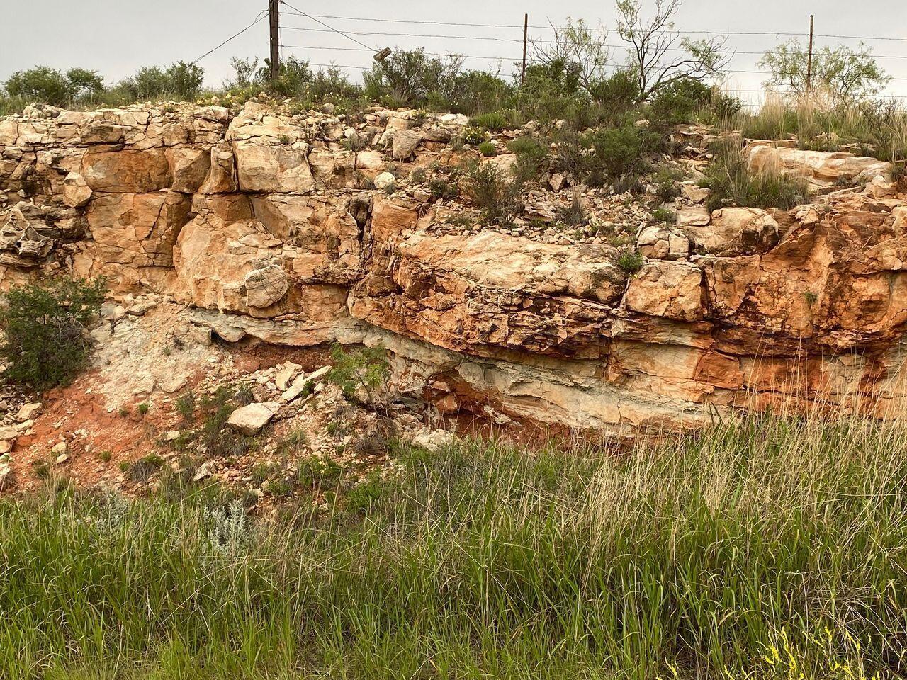 9831 Amarillo Road Fritch, TX 79036 - Photo 5 of 24 a view of a yard
