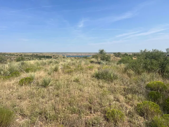 a view of a field of grass and trees