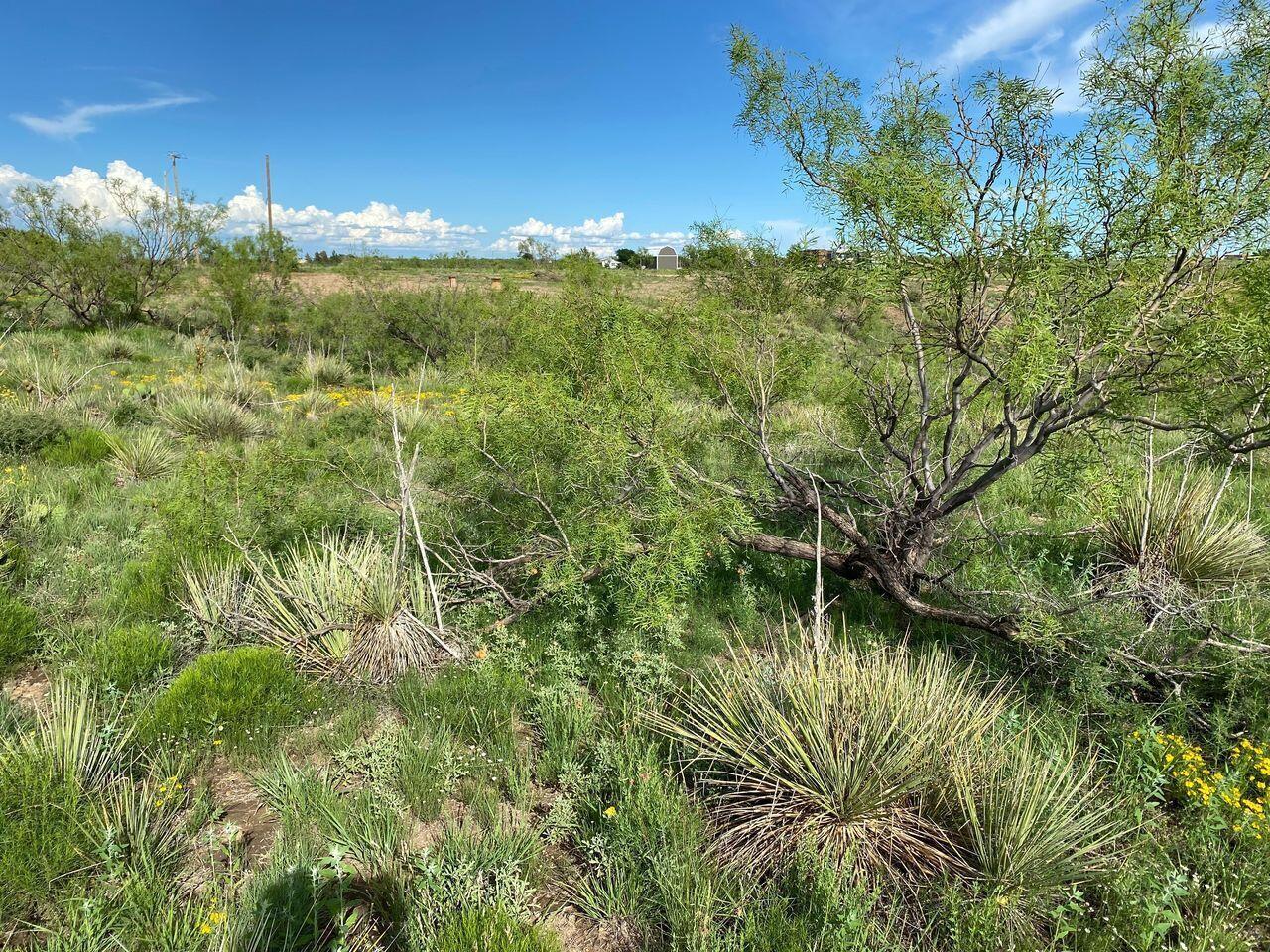 9831 Amarillo Road Fritch, TX 79036 - Photo 7 of 24 I 9831 Amarillo Rd, Fritch, TX