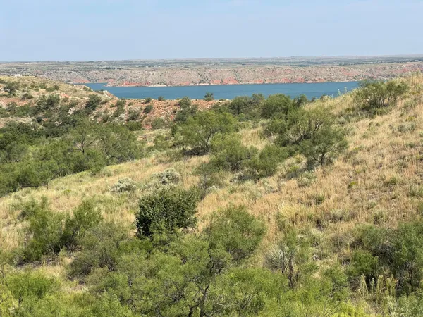 a view of a lake from a yard
