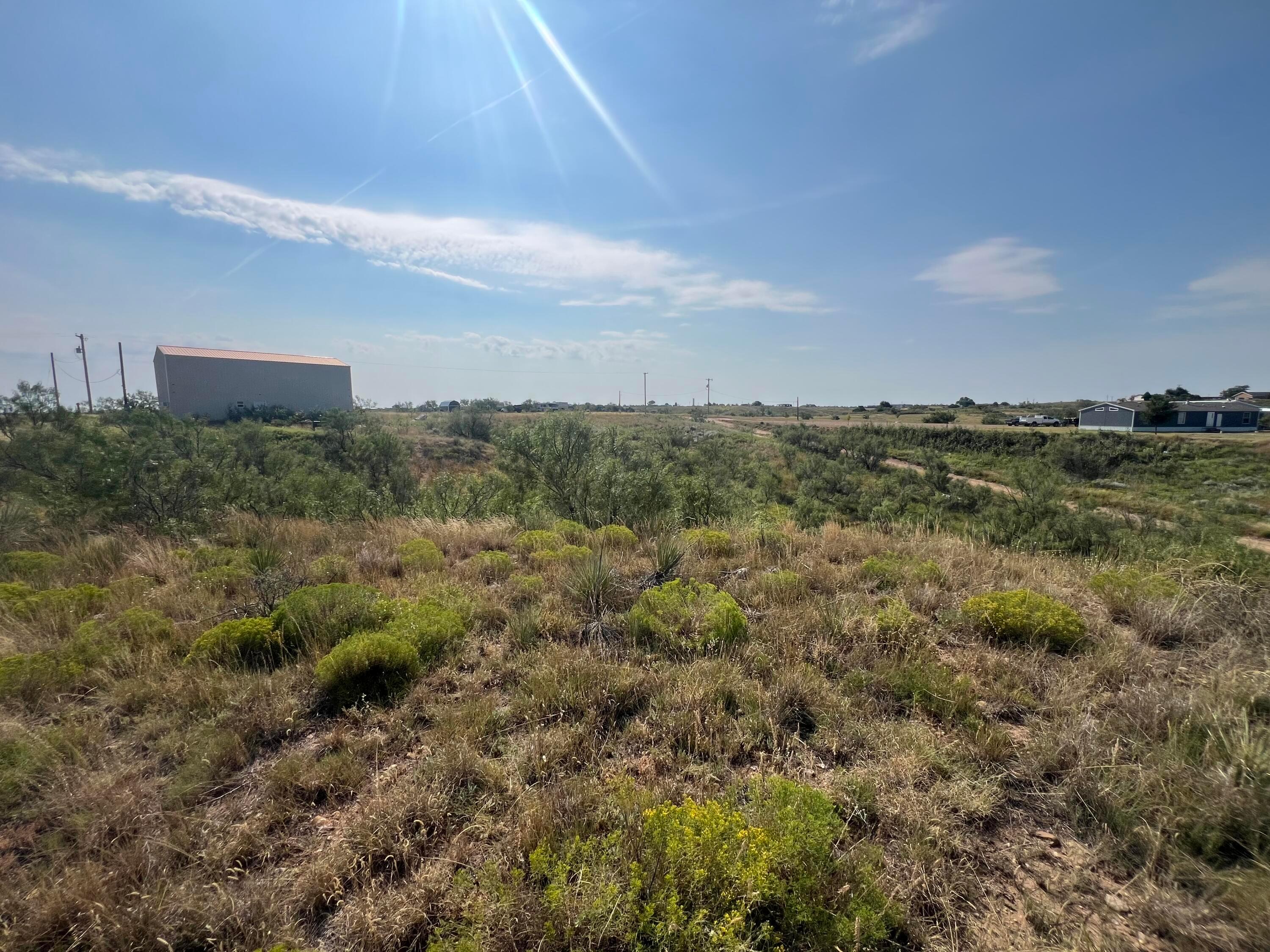 9831 Amarillo Road Fritch, TX 79036 - Photo 8 of 17 a view of a field of grass and trees