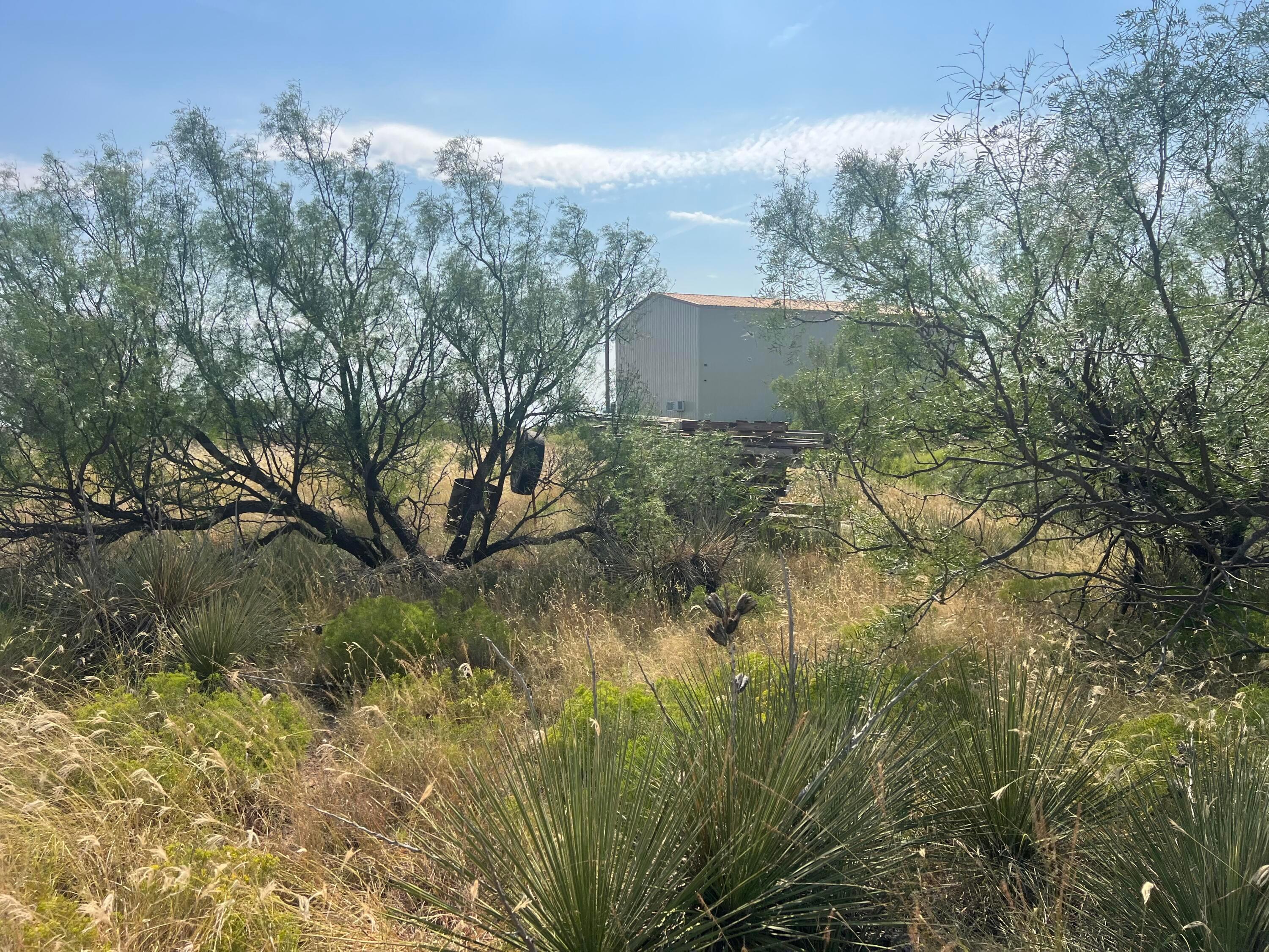 9831 Amarillo Road Fritch, TX 79036 - Photo 9 of 17 a view of a yard