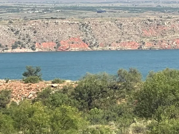 a view of a field of grass and trees
