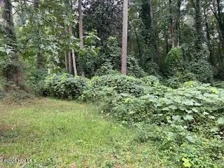 $20,000 | 0 West Grove Circle, Kenansville, NC 28349