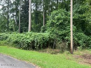 $20,000 | 0 West Grove Circle, Kenansville, NC 28349