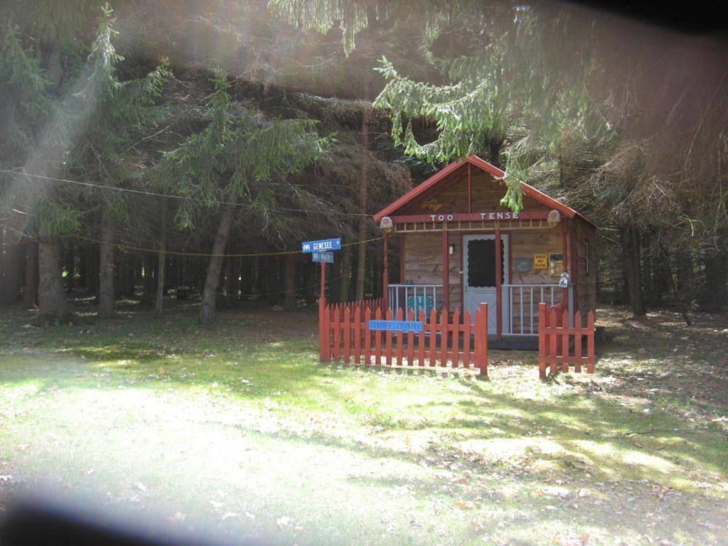 273 Latimer Road Bainbridge, NY 13733 - Photo 18 of 21 Gallery Image 18