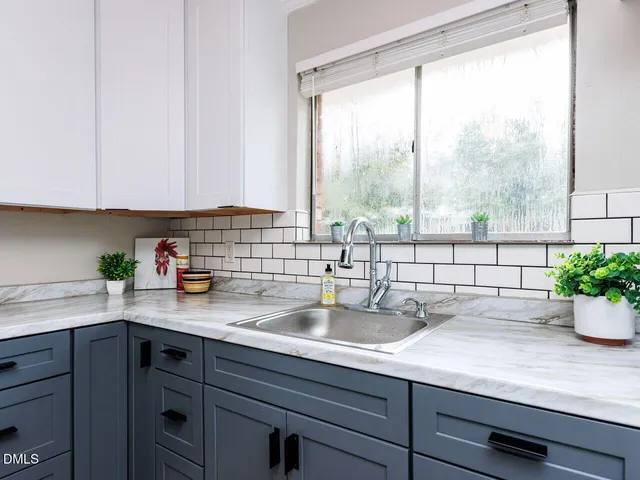 a kitchen with a sink a potted plant and cabinets
