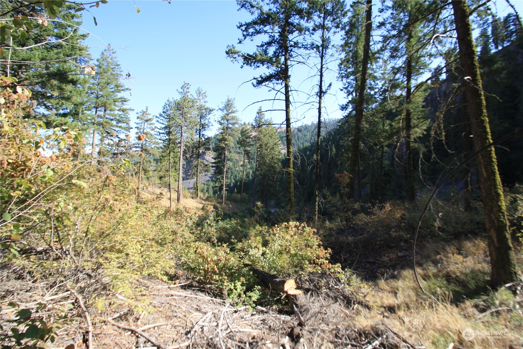 -nna Number 2 Canyon Road, Unit B Wenatchee, WA 98801 - Photo 8 of 13 Gallery Image 8