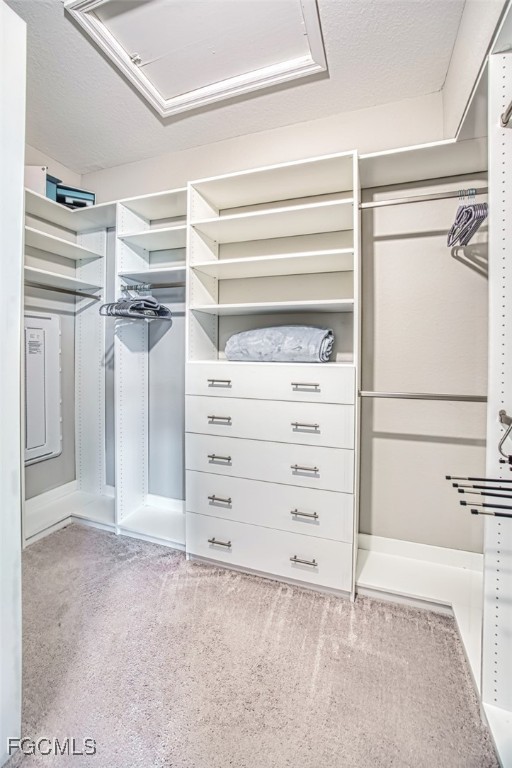 12000 Hawthorn Lake Drive, Unit 202 Fort Myers, FL 33913 - Photo 19 of 49 a view of walk in closet with empty racks