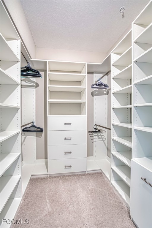 12000 Hawthorn Lake Drive, Unit 202 Fort Myers, FL 33913 - Photo 20 of 49 a view of walk in closet with empty racks