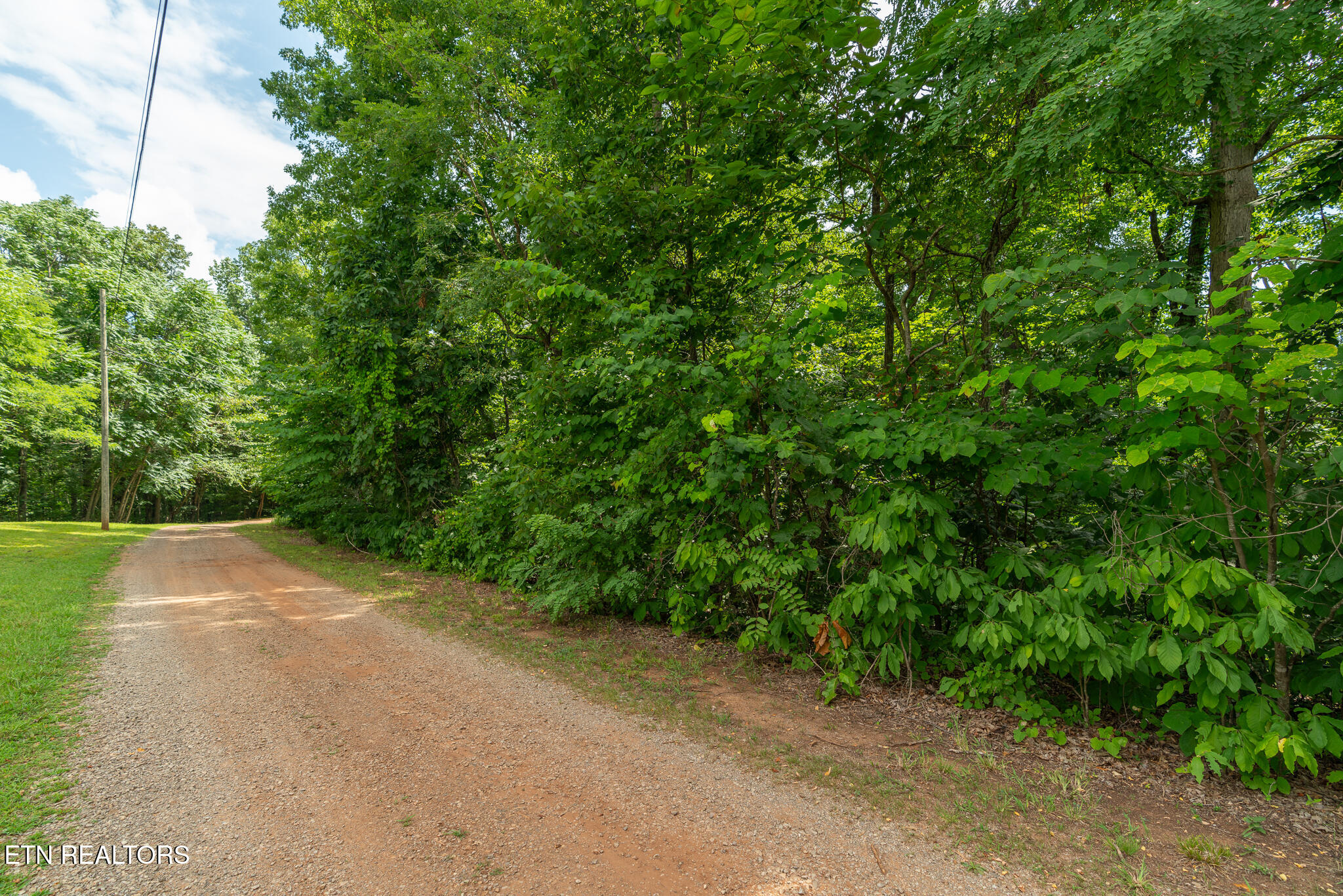 Old Citigo Road Vonore, TN 37885 - Photo 17 of 35 untitled-3