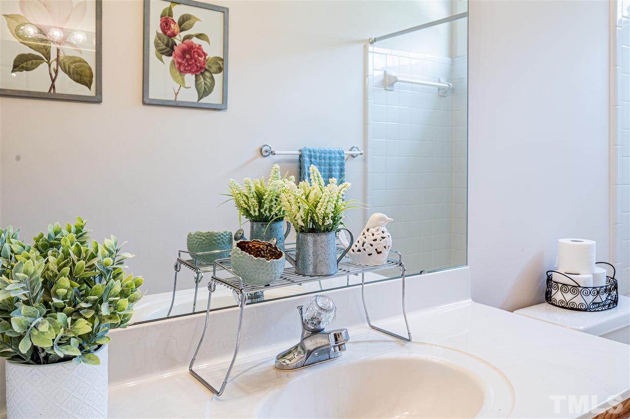 6208 Hampton Ridge Road Raleigh, NC 27603 - Photo 27 of 30 a bathroom with a sink a mirror and a potted plant