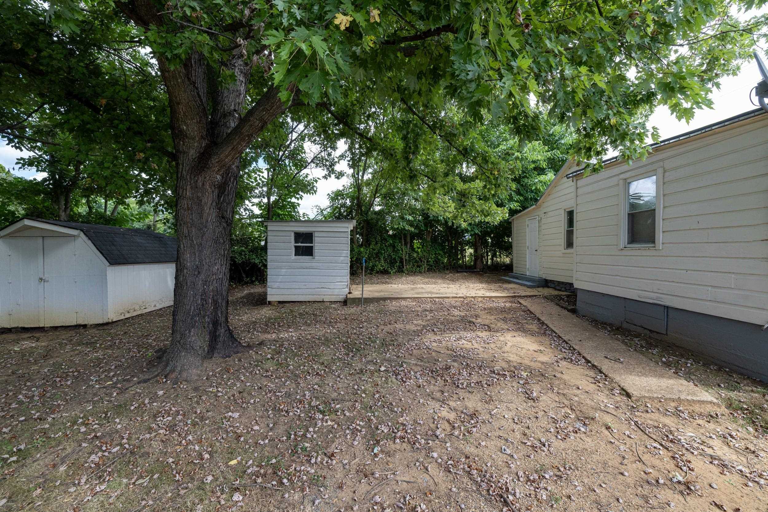 17801 Red Brush Road Elkton, VA 22827 - Photo 32 of 48 a view of a house with a backyard and a tree