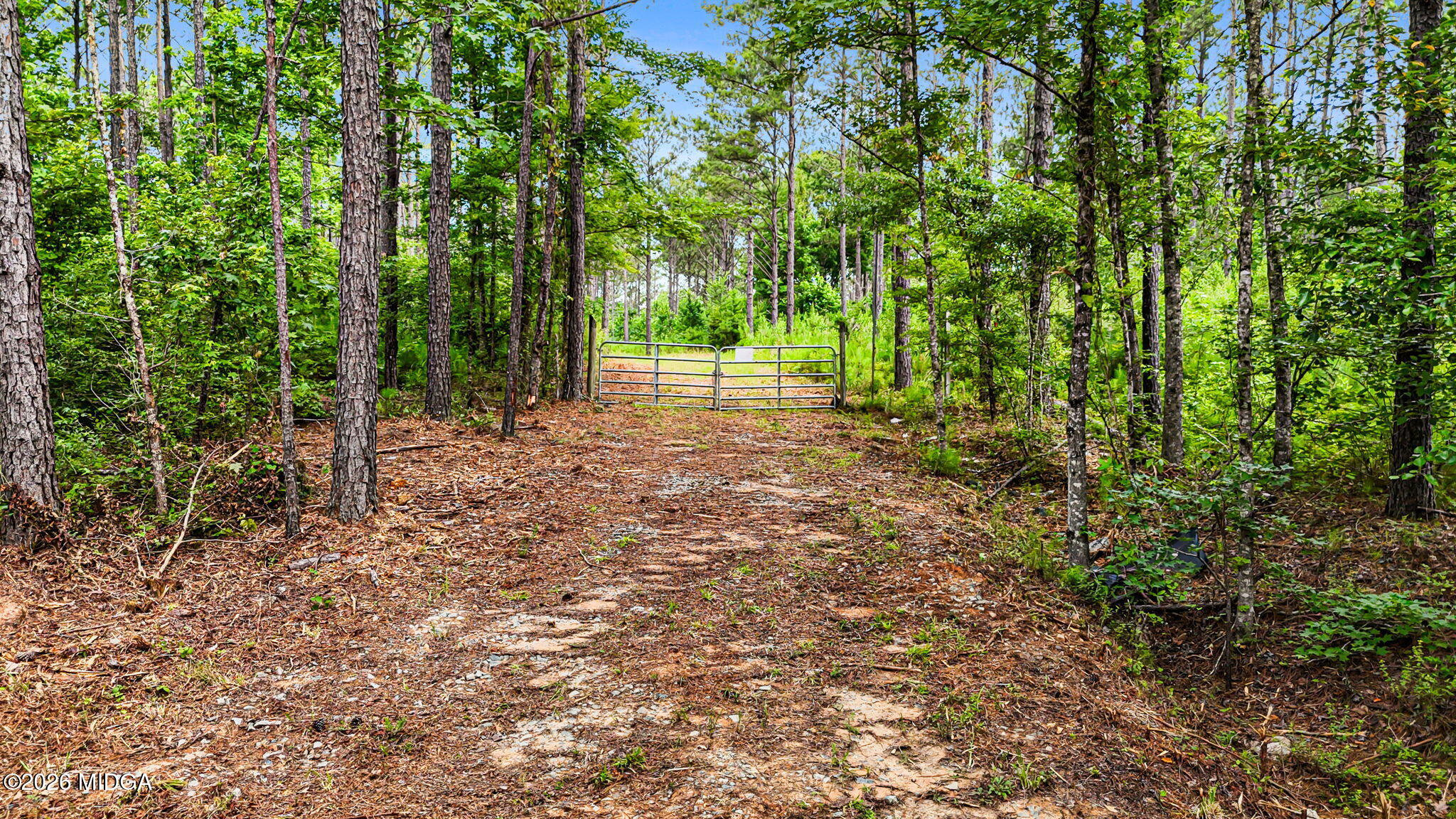 0 Howard Road Roberta, GA 31078 - Photo 6 of 14 a view of a forest with trees in the background