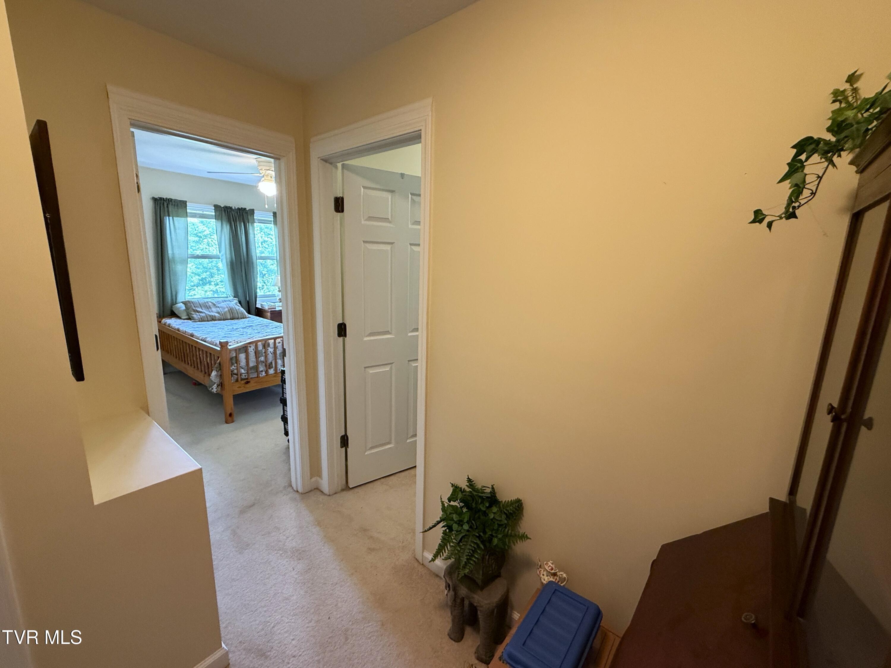 199 Pear Tree Way Del Rio, TN 37727 - Photo 20 of 40 24