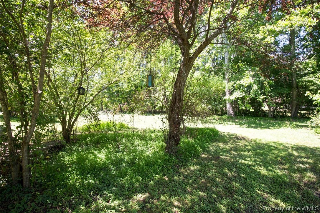 9445 Line Fence Road Hayes, VA 23072 - Photo 21 of 21 Gallery Image 21