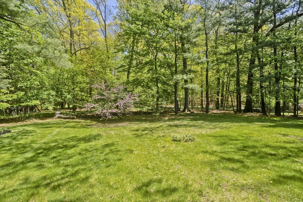 1883 Parker Street Springfield, MA 01128 - Photo 31 of 39 Gallery Image 31