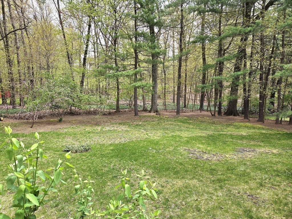 1883 Parker Street Springfield, MA 01128 - Photo 32 of 39 Gallery Image 32