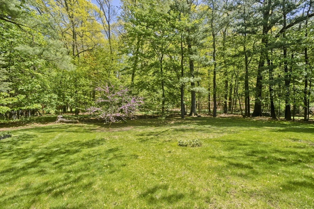 1883 Parker Street Springfield, MA 01128 - Photo 34 of 39 Gallery Image 34