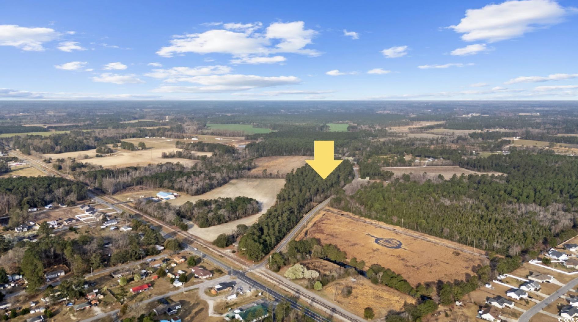 Lot 3 Apple Valley Road Loris, SC 29569 - Photo 1 of 18 Gallery Image 1