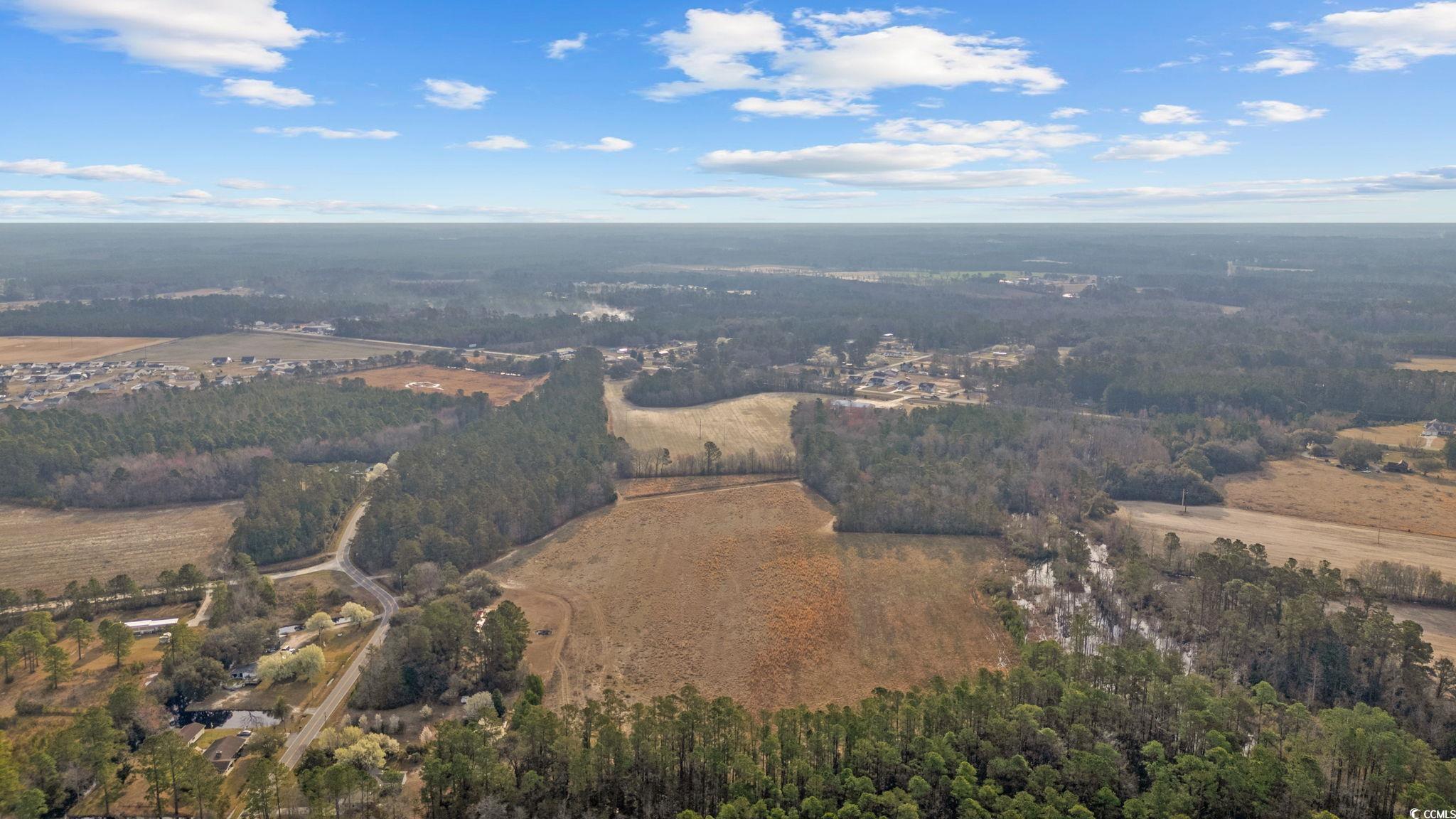 Lot 3 Apple Valley Road Loris, SC 29569 - Photo 17 of 18 Gallery Image 17