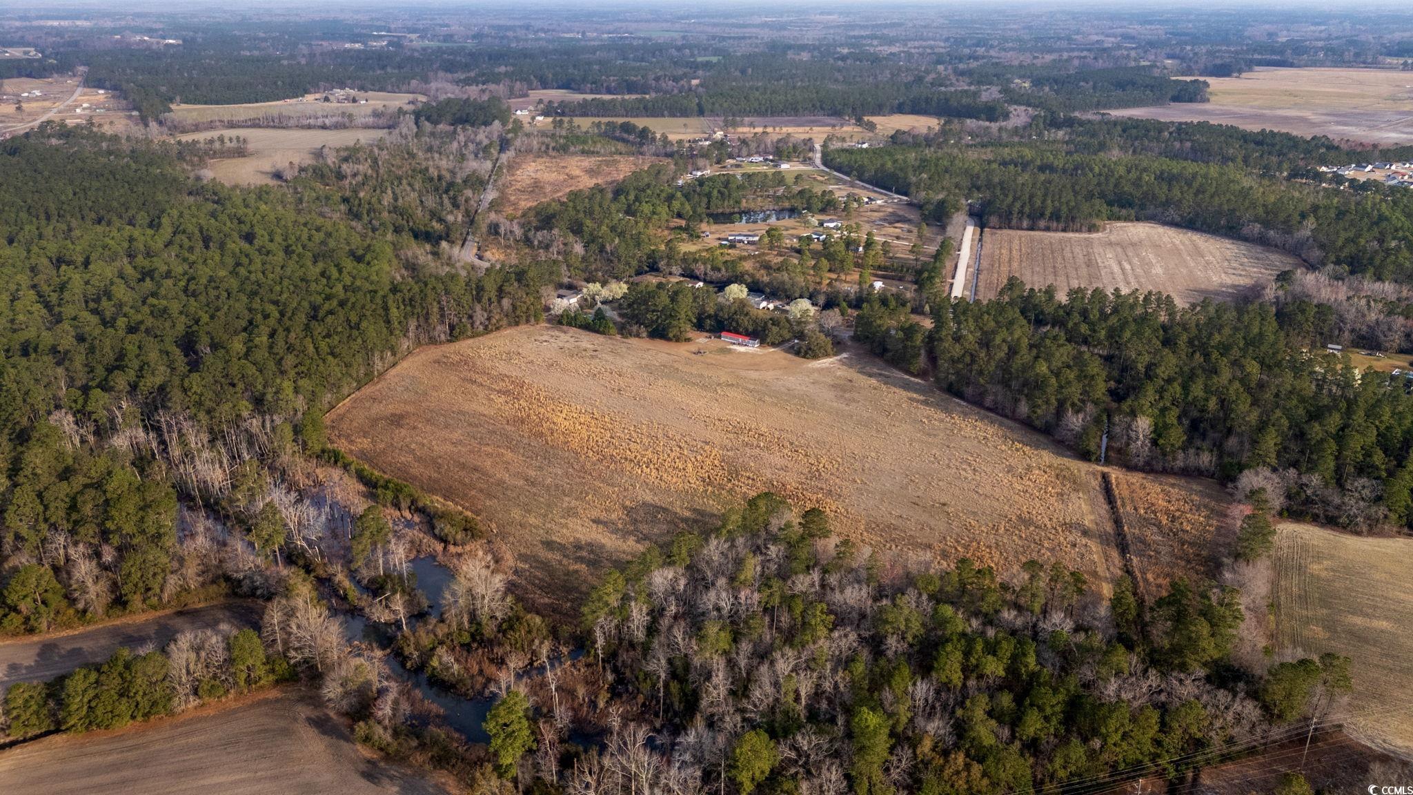 Lot 3 Apple Valley Road Loris, SC 29569 - Photo 3 of 18 Gallery Image 3