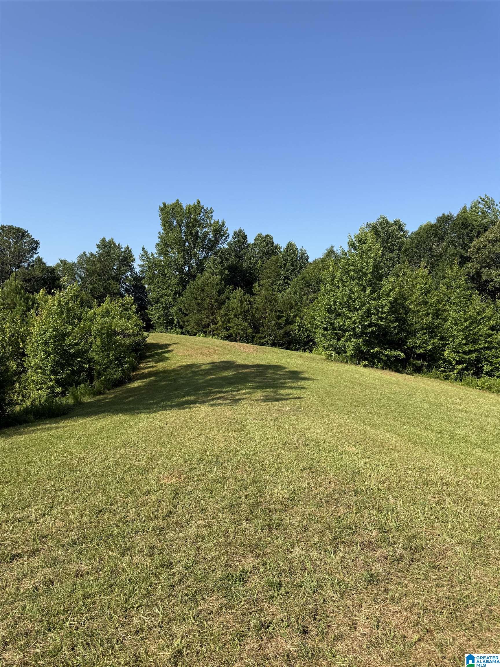 0 County Road 450 Fruithurst, AL 36262 - Photo 12 of 13