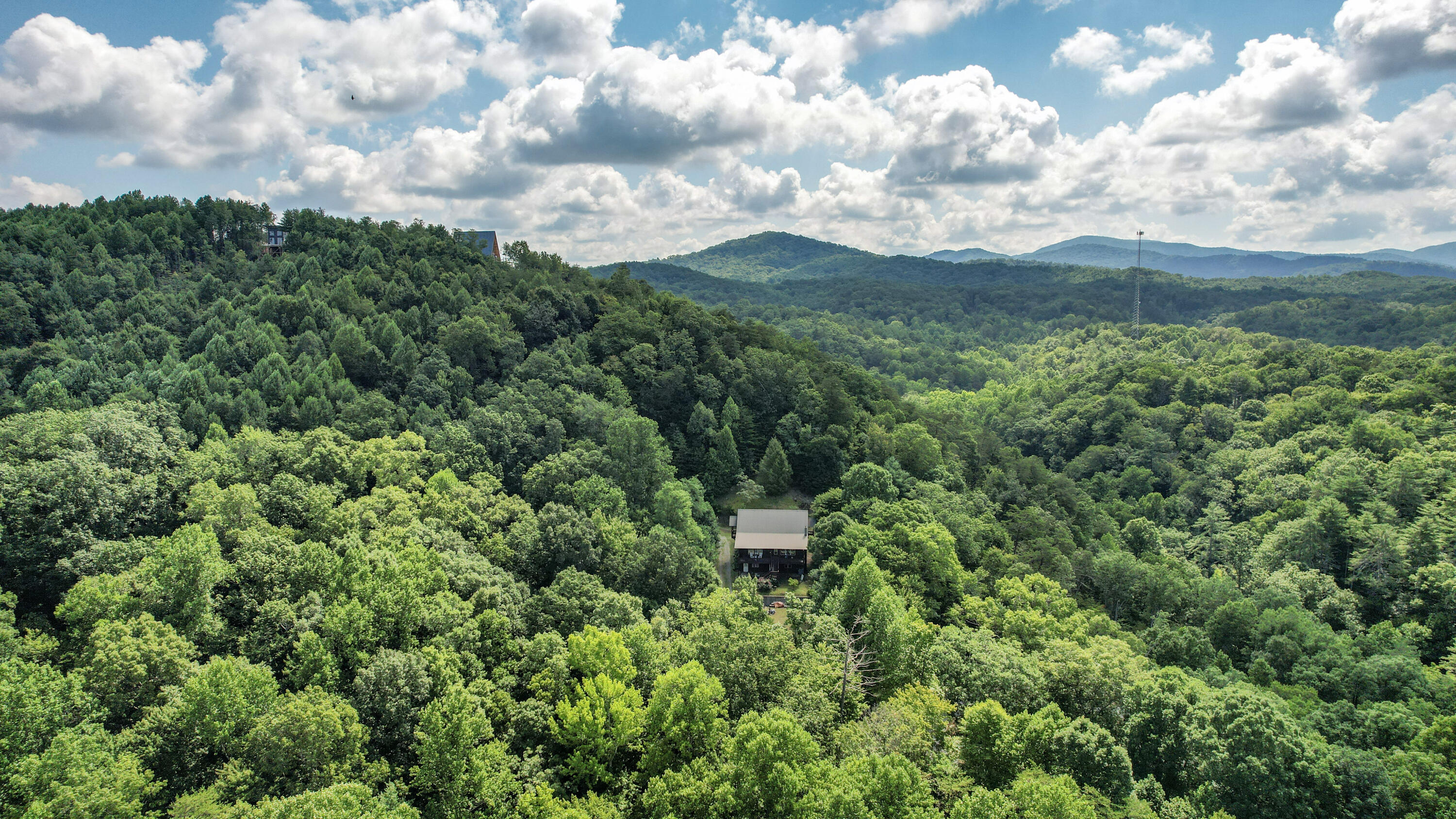 186 Caney Creek Road Reliance, TN 37369 - Photo 79 of 89 80-DJI_0010