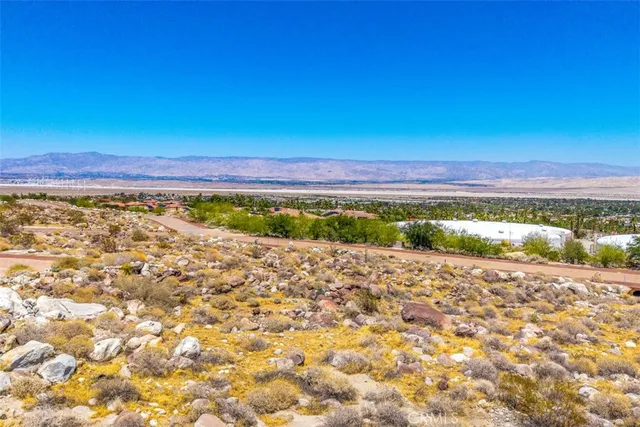 a view of a dry yard with a house in the background