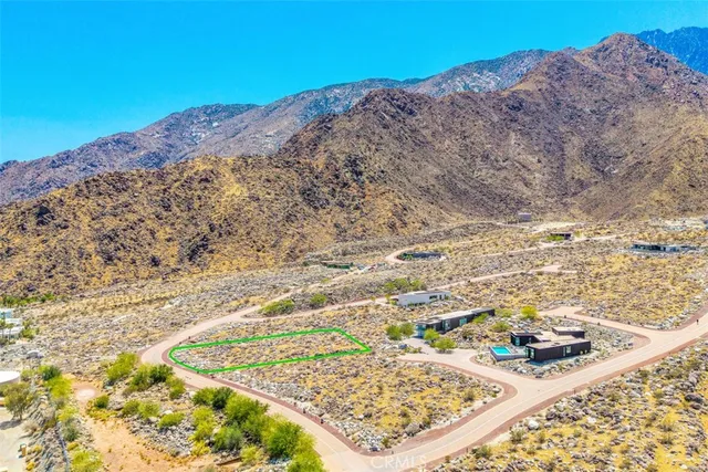a view of a dry yard with trees