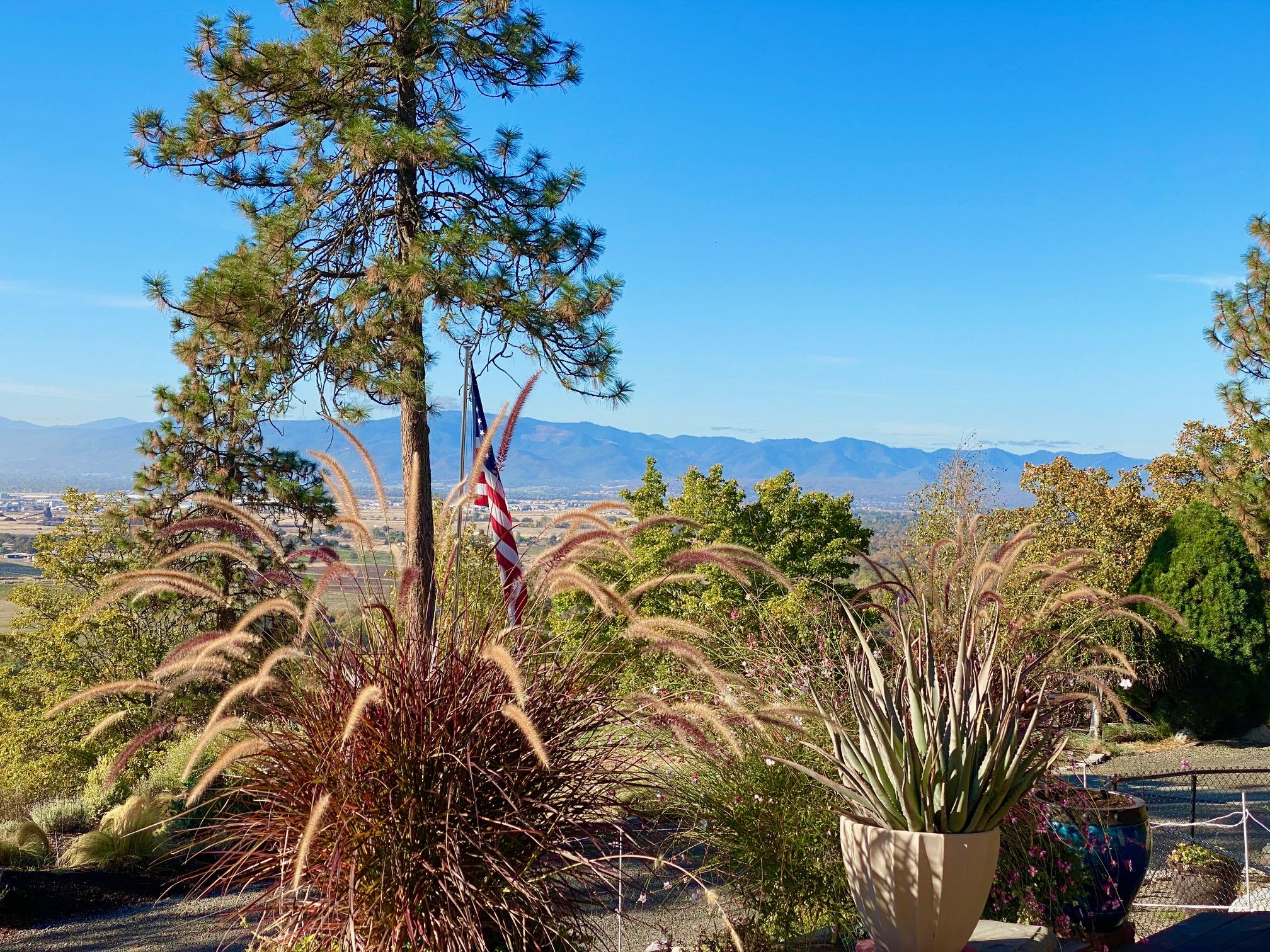 150 Nick Young Road Eagle Point, OR 97524 - Photo 35 of 41 a view of a yard with plants and trees