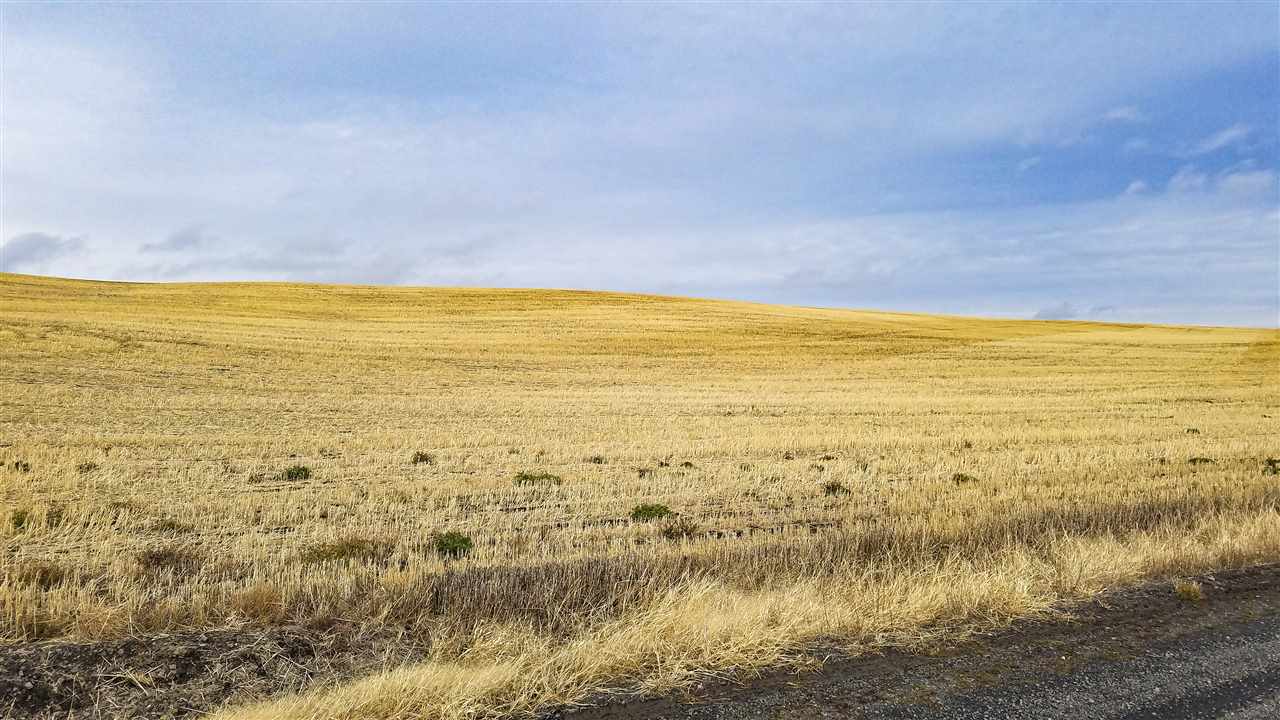 0 East Rohwer Road Spangle, WA 99031 - Photo 2 of 12