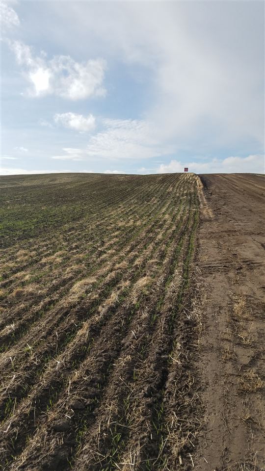 0 East Rohwer Road Spangle, WA 99031 - Photo 12 of 12