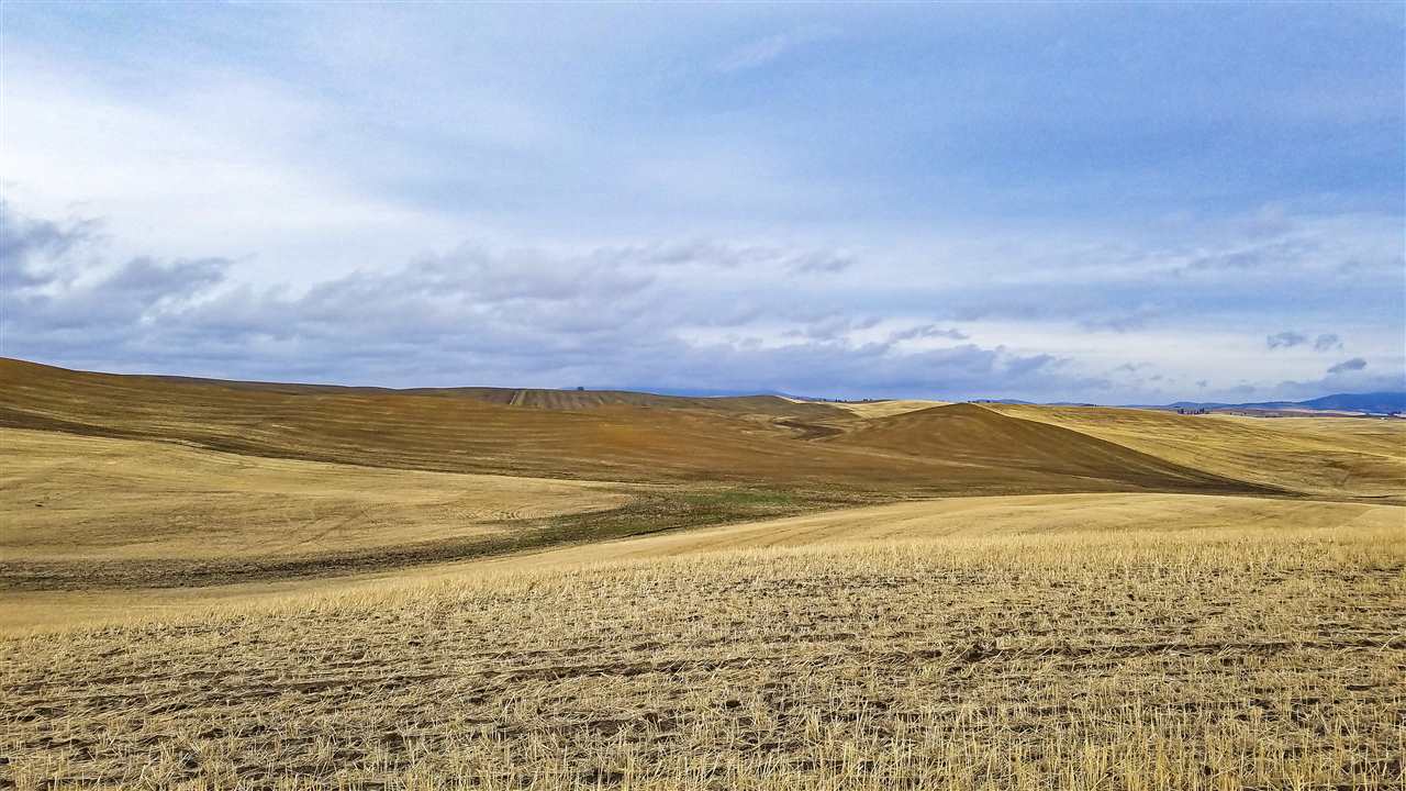 0 East Rohwer Road Spangle, WA 99031 - Photo 3 of 12