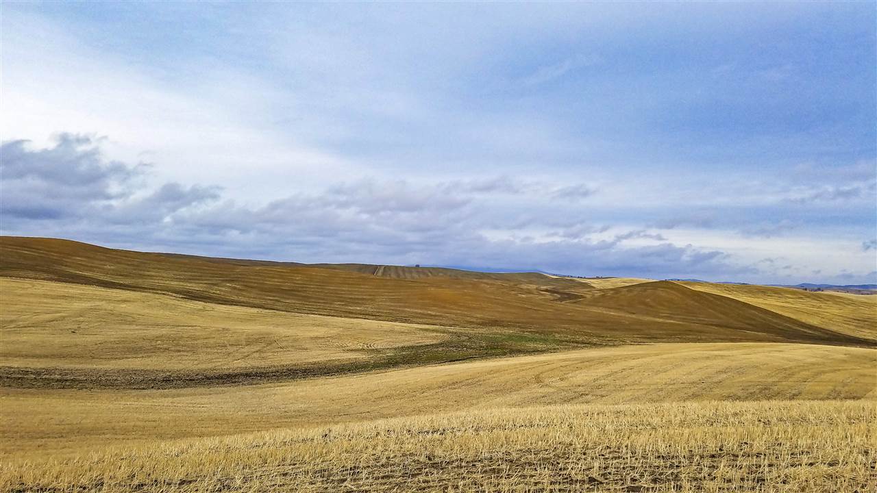 0 East Rohwer Road Spangle, WA 99031 - Photo 4 of 12