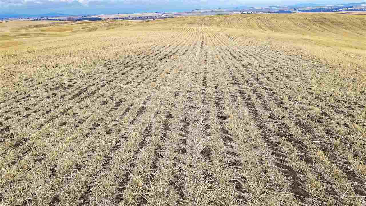 0 East Rohwer Road Spangle, WA 99031 - Photo 5 of 12