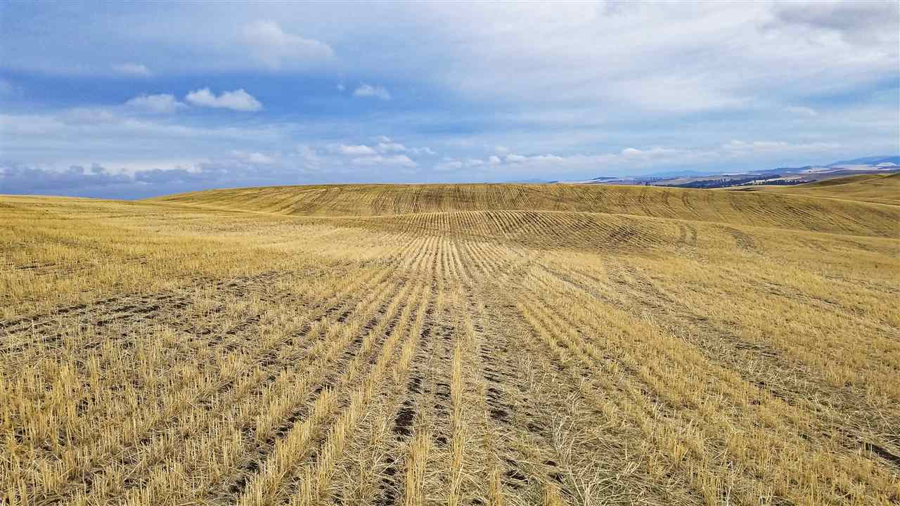 0 East Rohwer Road Spangle, WA 99031 - Photo 6 of 12