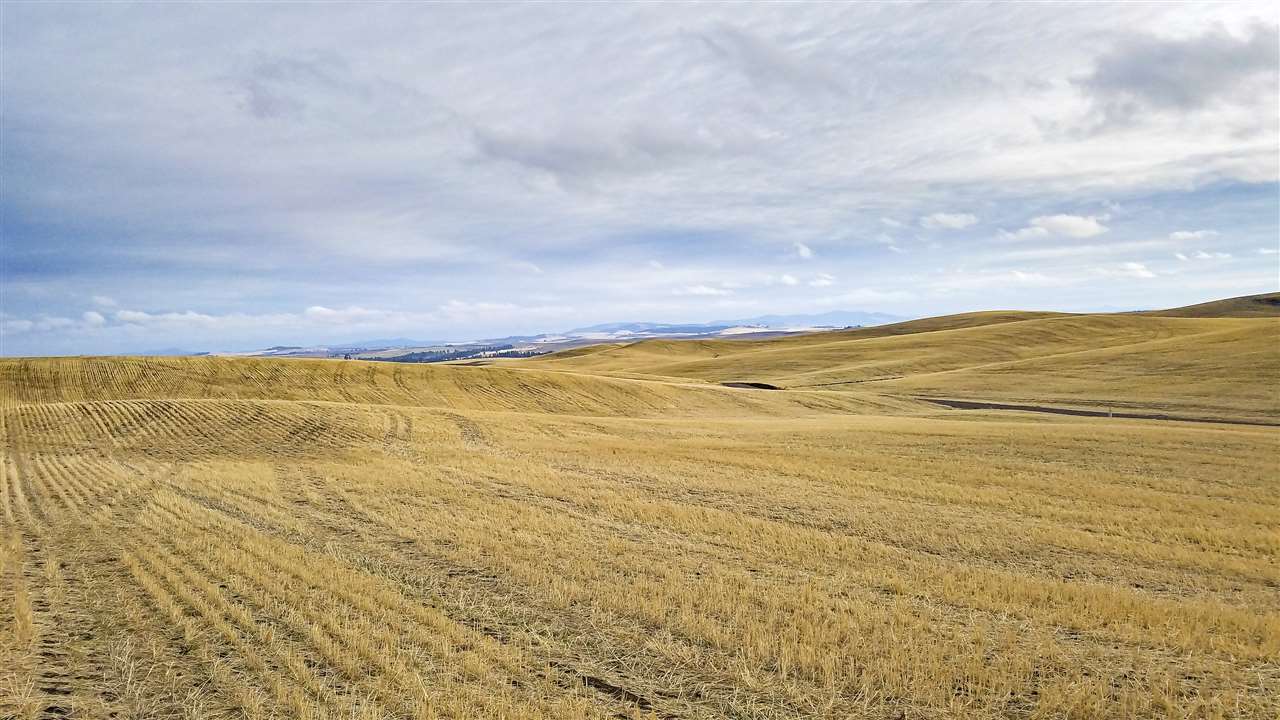 0 East Rohwer Road Spangle, WA 99031 - Photo 7 of 12