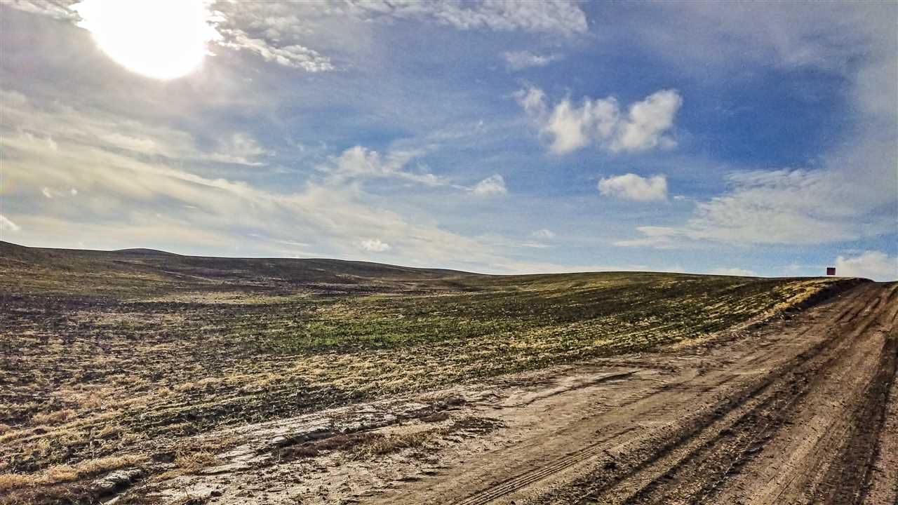 0 East Rohwer Road Spangle, WA 99031 - Photo 8 of 12