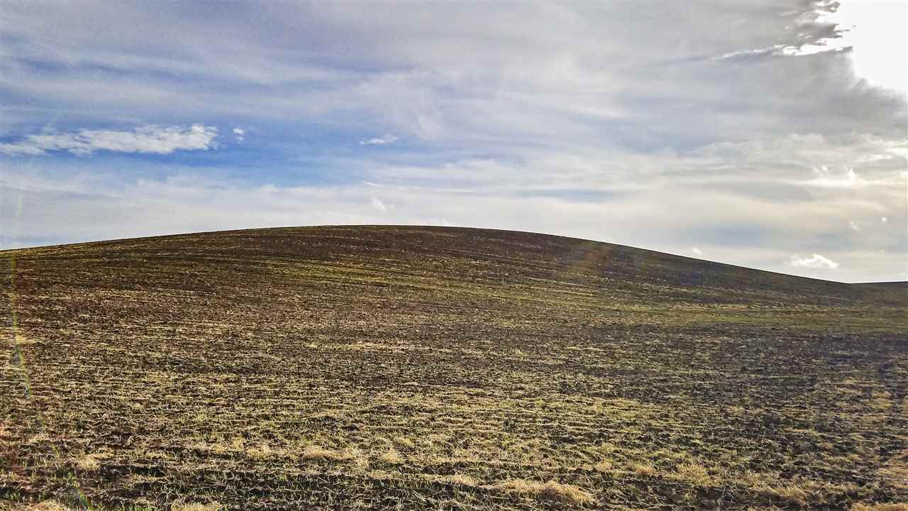 0 East Rohwer Road Spangle, WA 99031 - Photo 10 of 12