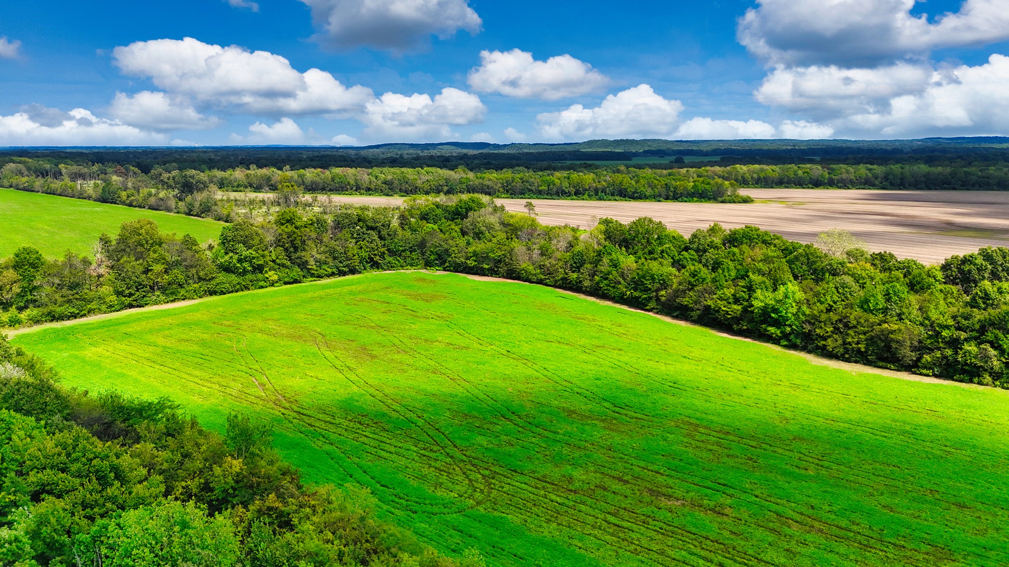 0 Pittsburg Landing Road Savannah, TN 38372 - Photo 24 of 66 Gallery Image 24