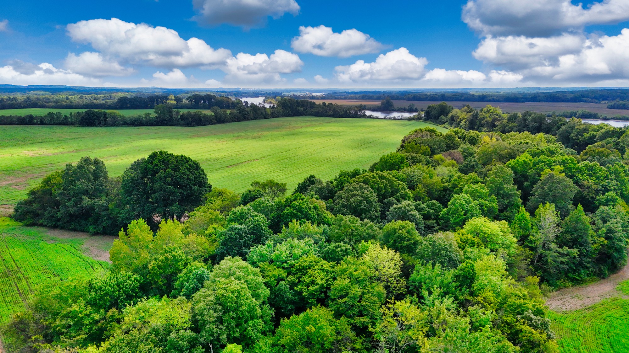 0 Pittsburg Landing Road Savannah, TN 38372 - Photo 29 of 66 Gallery Image 29