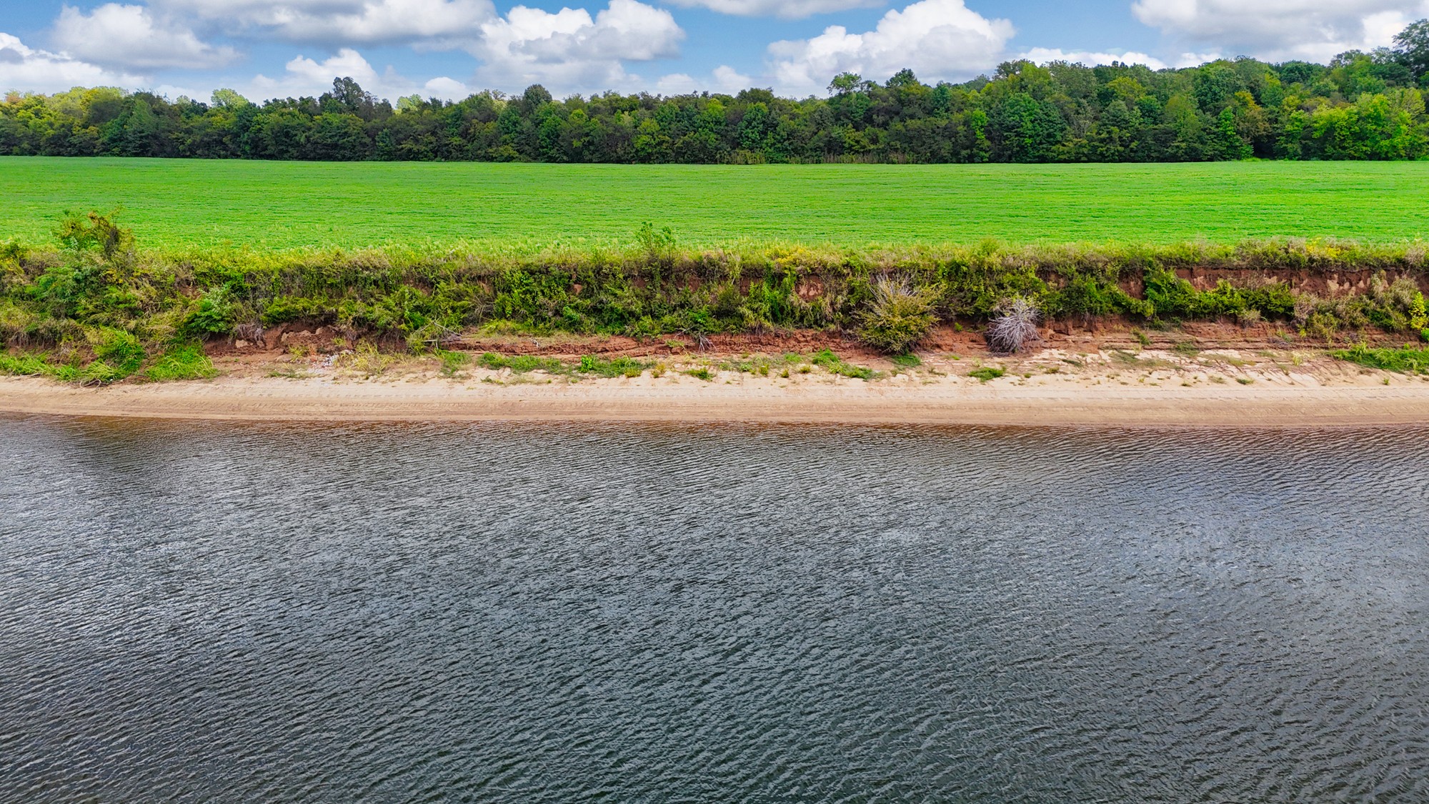 0 Pittsburg Landing Road Savannah, TN 38372 - Photo 4 of 66 Gallery Image 4