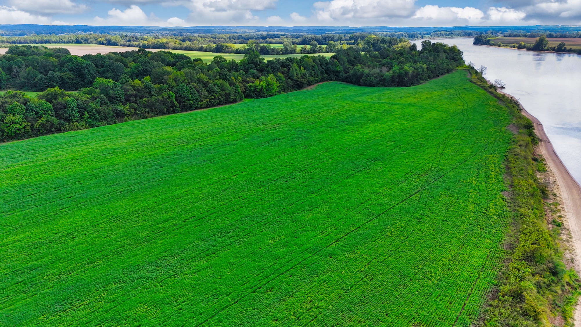 0 Pittsburg Landing Road Savannah, TN 38372 - Photo 47 of 66 Gallery Image 47