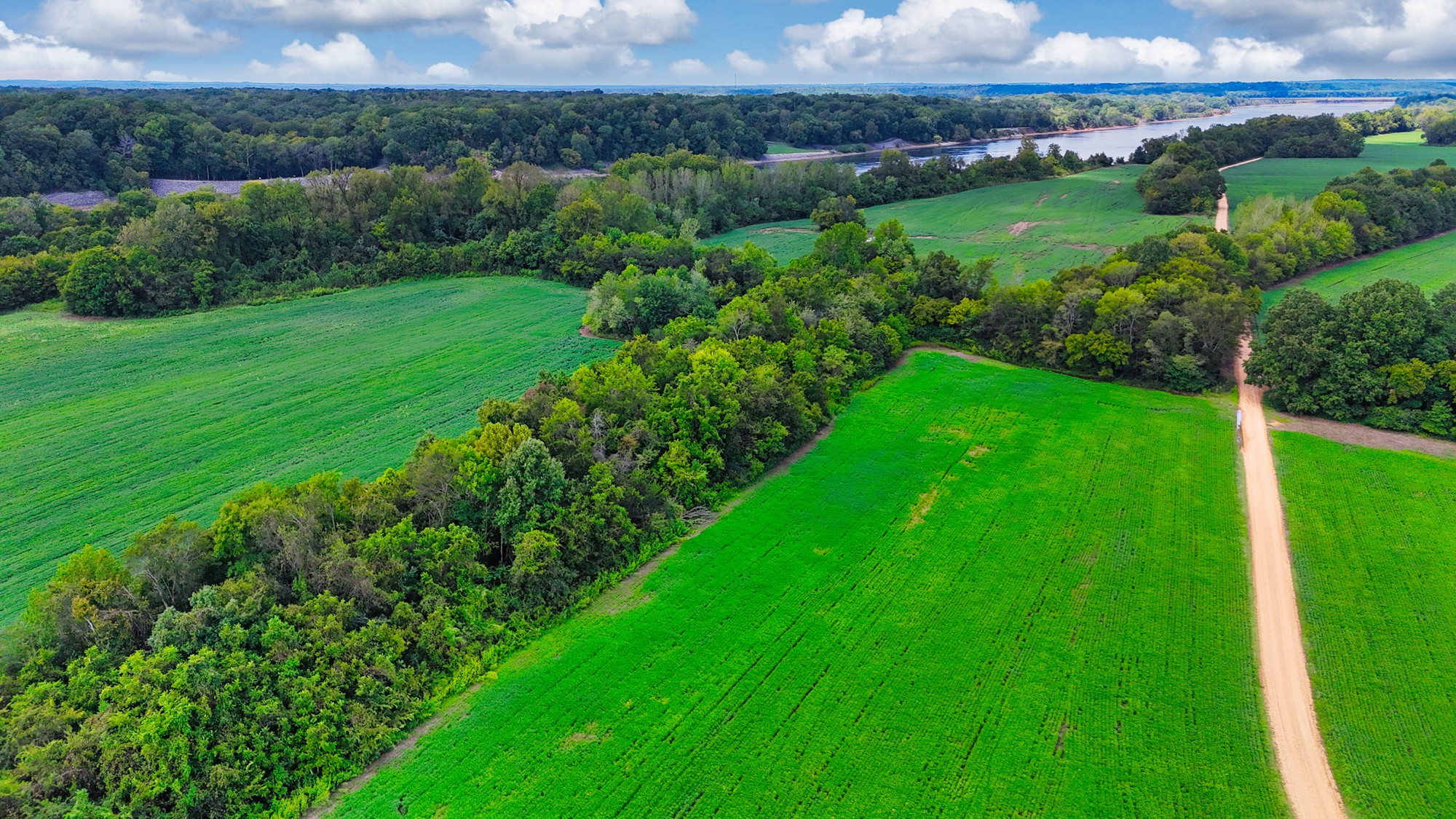 0 Pittsburg Landing Road Savannah, TN 38372 - Photo 52 of 66 Gallery Image 52