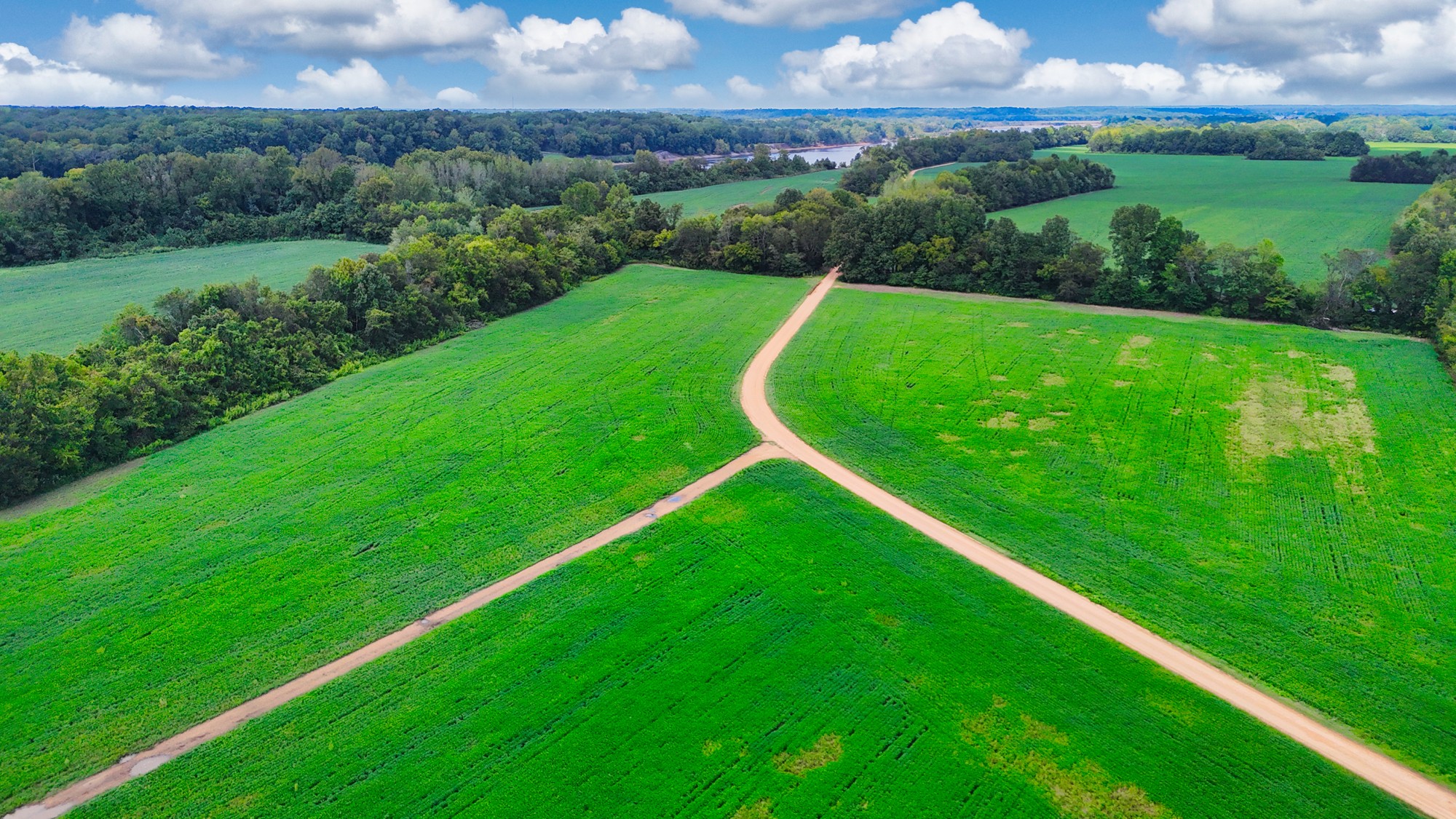 0 Pittsburg Landing Road Savannah, TN 38372 - Photo 53 of 66 Gallery Image 53