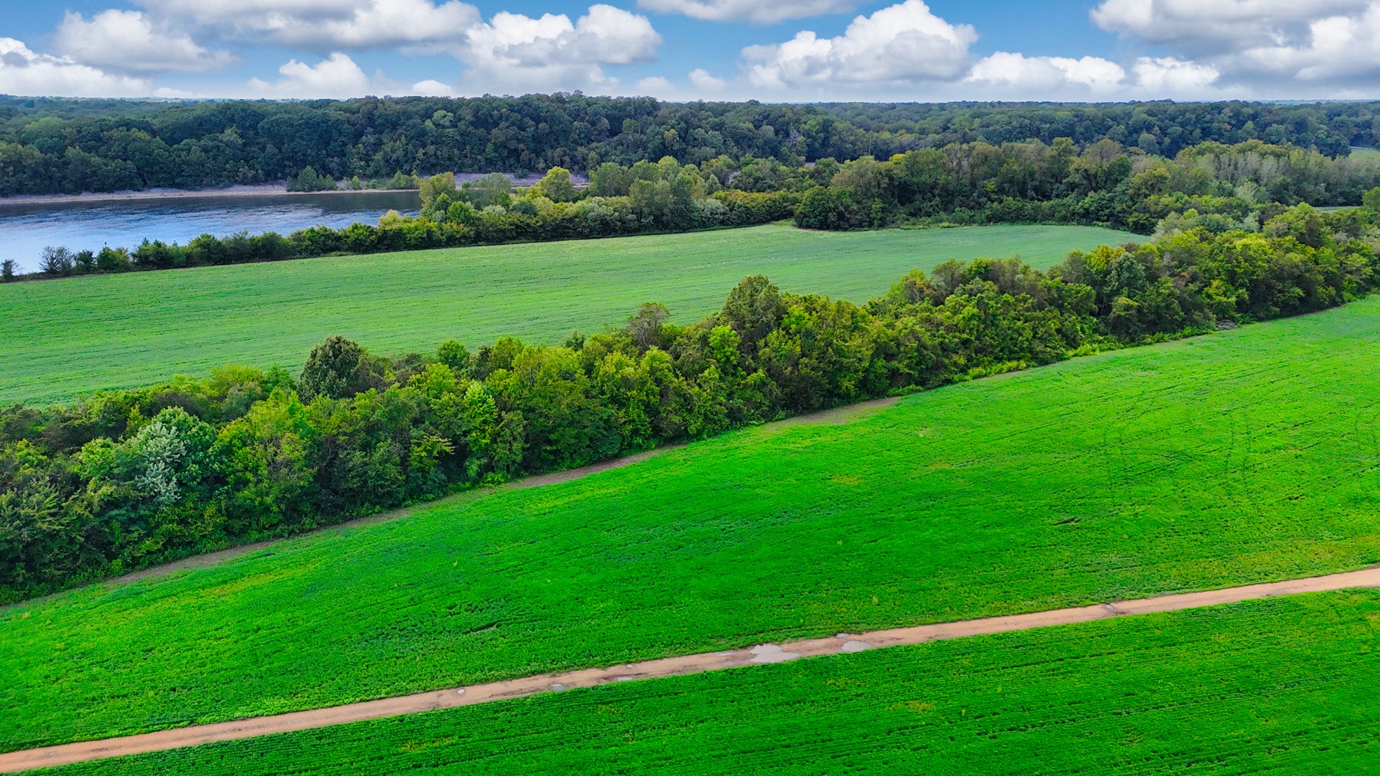 0 Pittsburg Landing Road Savannah, TN 38372 - Photo 54 of 66 Gallery Image 54